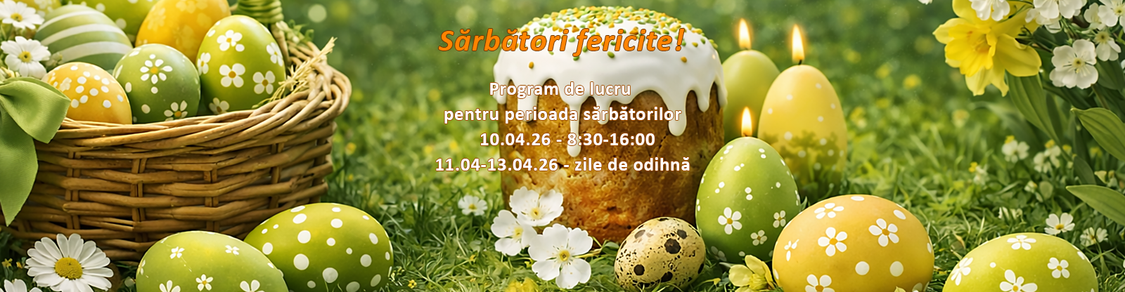 Sărbători fericite!