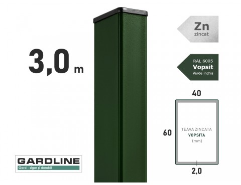 Stalp zincat 60x40x2,0mm L-3,0m RAL 6005