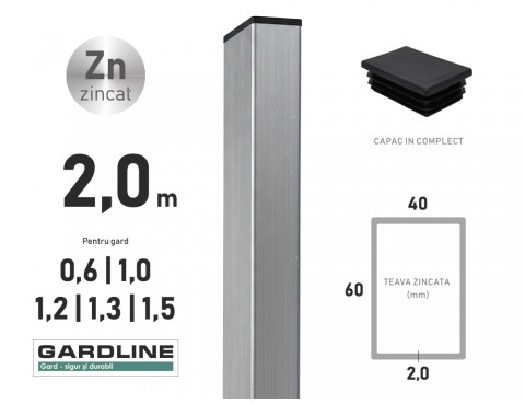 Stalp zincat 60x40x2,0mm L-2,0m