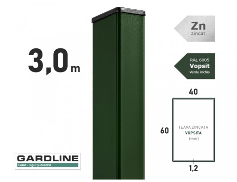 Stalp zincat 60x40x1,2mm L-3,0m RAL 6005