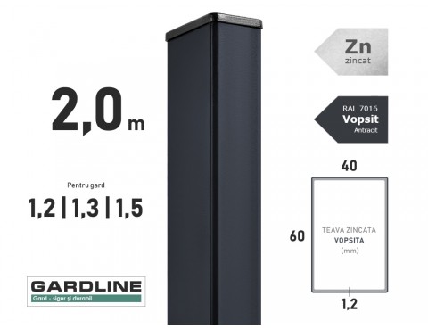 Stalp zincat 60x40x1,2mm L-2,0m RAL 7016