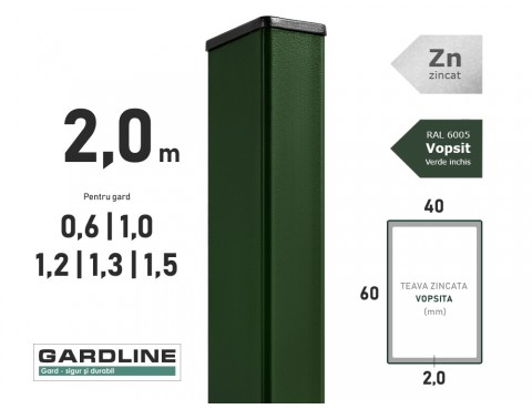 Stalp zincat 60x40x2,0mm L-2,0m RAL 6005